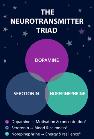 Neurotransmitter Support